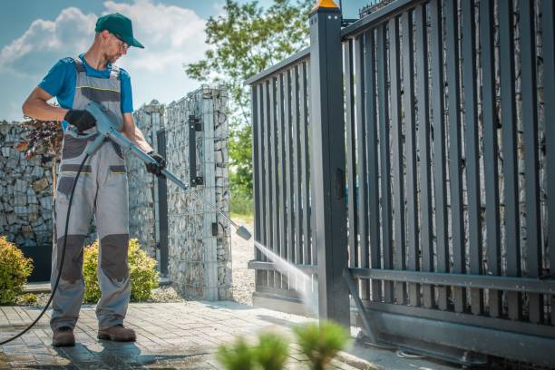 Best Roof Cleaning and Mildew Removal in Milaca, MN